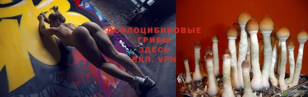 кокаин колумбия Алзамай