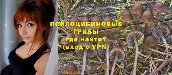 СК Алексеевка