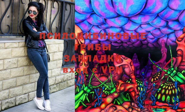СК Алексеевка
