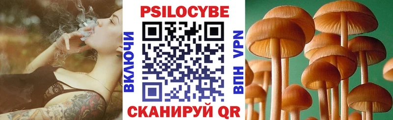 Псилоцибиновые грибы мицелий Новосиль